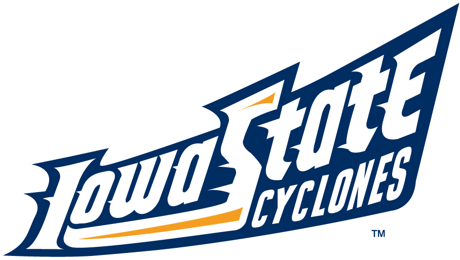 Iowa State Cyclones 1995-2007 Wordmark Logo t shirts iron on transfers v7